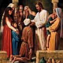 Jesus Heals a Blind Man on Random Best Bible Stories For Kids