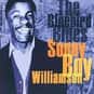 Sonny Boy Williamson I is listed (or ranked) 15 on the list Greatest Harmonica Players of All Time