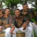 Sonora Carruseles on Random Best Salsa Artists and Groups