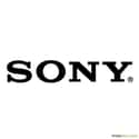 Sony Corporation on Random Best Online Shopping Sites for Electronics
