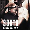 South Central on Random Best Black Movies