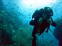 Spain on Random Best Countries for Scuba Diving