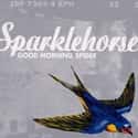 Dream pop, Alternative rock, Indie rock   Sparklehorse was an American indie rock band led by the singer and multi-instrumentalist Mark Linkous.