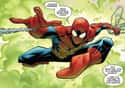 Spider-Man on Random Greatest Spider-Man Costumes