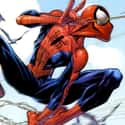 Spider-Man on Random Greatest Cartoon Characters in TV History