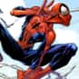 Superman vs. the Amazing Spider-Man, The Amazing Spider-Man, Dying Wish