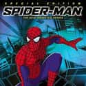 Spider-Man: The New Animated Series on Random Greatest Animated Superhero TV Series