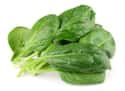 Spinach on Random Types of Lettuce