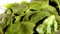 Spinach on Random Best Foods for Blood Pressure