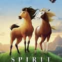 Matt Damon, James Cromwell, Charles Napier   Spirit: Stallion of the Cimarron is a 2002 American animated western drama film that that was produced by DreamWorks Animation and released by DreamWorks Pictures.