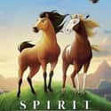 Spirit: Stallion of the Cimarron on Random Animated Movies That Make You Cry Most