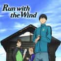 Run with the Wind on Random Best Anime On Crunchyroll