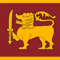 Sri Lanka on Random Prettiest Flags in the World