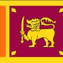 Sri Lanka on Random Coolest-Looking National Flags in the World