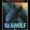 SSN-21 Seawolf on Random Best Submarine Simulator Games