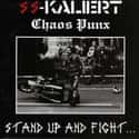 SS-Kaliert on Random Best Street Punk Bands