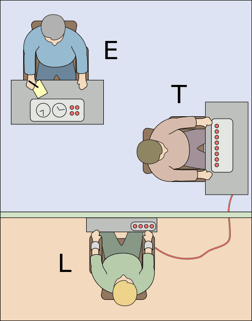 Famous Psychological Experiments on Humans