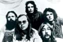 Steely Dan on Random Best Bands Named After Books and Literary Characters