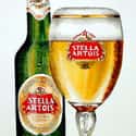 Stella Artois on Random Best Beer Brands