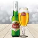 Stella Artois on Random Best Beers from Around World