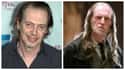 Steve Buscemi on Random Actors Would Star In An Americanized 'Harry Potter'