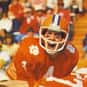 Steve Fuller is listed (or ranked) 2 on the list The Best Clemson Tigers Quarterbacks of All Time