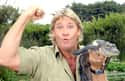Steve Irwin on Random Famous Role Models We'd Like to Meet In Person
