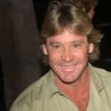 Steve Irwin on Random Entertainers Who Died While Performing