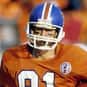 Steve Watson is listed (or ranked) 7 on the list The Best Denver Broncos Wide Receivers of All Time
