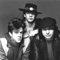 Stevie Ray Vaughan and Double Trouble on Random Best Pop Music Trios