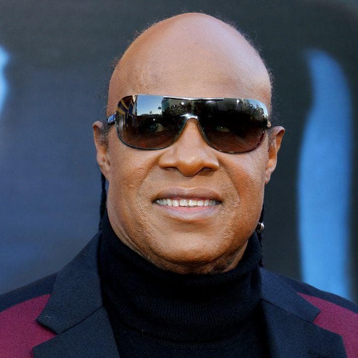 Stevie Wonder