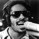Stevie Wonder on Random Celebrities Who Have Been In Terrible Car Accidents
