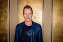 Sting on Random Best Solo Artists Who Used to Front a Band