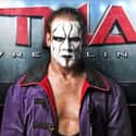 Steve Borden on Random Best TNA Wrestlers