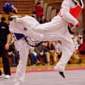 Taekwondo on Random Most Popular Sports In America