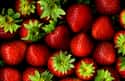 Strawberries on Random Very Best Snacks to Eat Between Meals