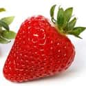 Strawberries on Random Most Delicious Foods in World