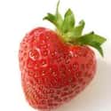 Strawberries on Random Healthiest Superfoods