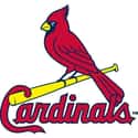 St. Louis Cardinals on Random Best Sports Franchises