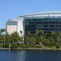 Tampa Bay Times Forum on Random Best NHL Arenas