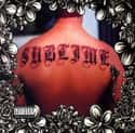 Sublime: 10th Anniversary Deluxe Edition on Random 90s CDs You Are Most Embarrassed You Owned