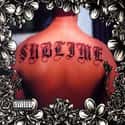 Sublime: 10th Anniversary Deluxe Edition on Random 90s CDs You Are Most Embarrassed You Owned