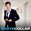 White Collar on Random TV Shows Canceled Before Their Time
