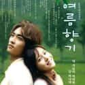 Summer Scent on Random Most Tragically Beautiful Korean Dramas