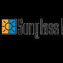 Sunglass Hut International on Random Sunglasses Shopping Websites