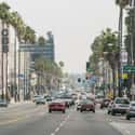 Sunset Boulevard on Random Top Must-See Attractions in Los Angeles