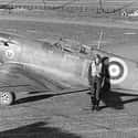 Supermarine Spitfire on Random Most Iconic World War II Planes