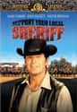 Support Your Local Sheriff! on Random Greatest Western Movies of 1960s