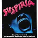 Suspiria on Random Best Movies About Cults