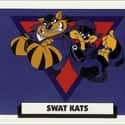 SWAT Kats: The Radical Squadron on Random Best Cat Cartoons